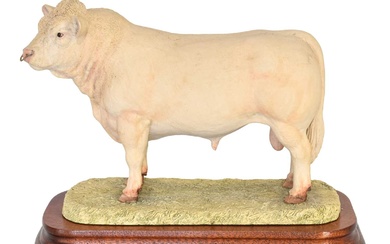 Border Fine Arts 'Charolais Bull' (Style One), model No. L112...