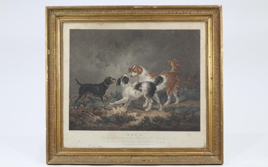 D'après George MORLAND (1762/63-1804), gravé par G. SHEPHEARD "Dogs" Gravure en couleur Quelques mouillures 43...