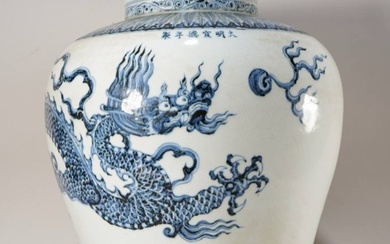 Ming Dynasty blue and white dragon pattern jar