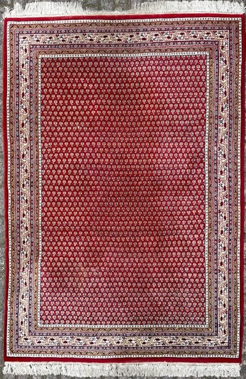 Mir - Carpet - 244 cm - 172 cm