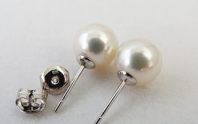 NO RESERVE PRICE - Akoya pearls, Premium 8,5 -9 mm - Earrings, 18 kt. White Gold