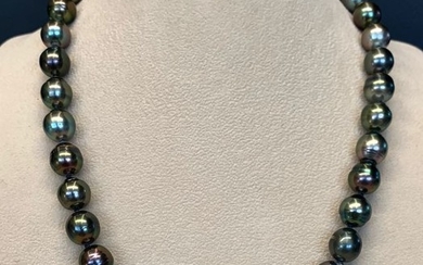 #NO RESERVE PRICE# Multicolor Tahitian pearls, Steel, Choker Sizes 10,2x11,65MM - Necklace