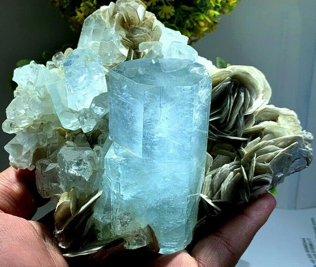 Natural Aquamarine Crystals with Mica Museum Grade