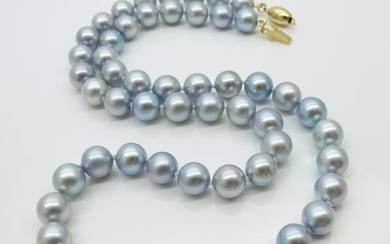 No Reserve Price - Akoya Pearls, Natural Blue, Round, 7 -7.5 mm - 14 kt. Yellow gold - Necklace