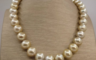 No Reserve Price Necklace - ALGT Certified Golden South Sea Pearls - 11.2x14.6mm