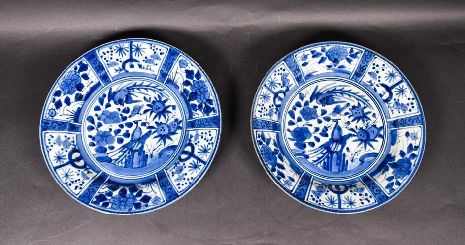 Pair of Japanese Blue and White Chargers