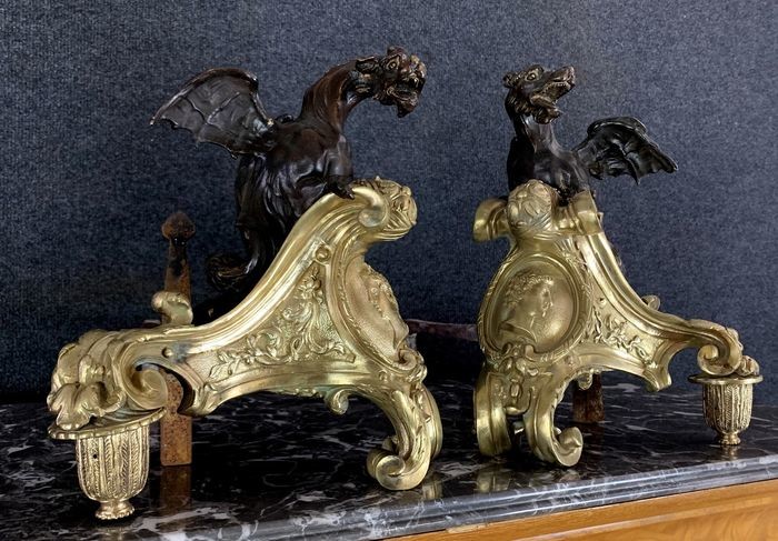 Pair of bronze regency andirons with double patina depicting winged dragons - Bronze, Iron (cast/wrought) - Mid 18th century