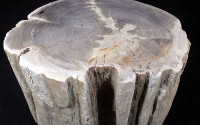 Petrified wood log - 19.5×24×28 cm - 21 kg