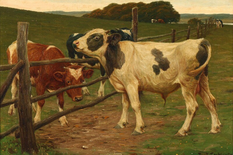 Poul Steffensen: Landscape with cows and a calf at a fence. Signed Poul Steffensen. Oil on canvas. 54.5×51.5 cm.