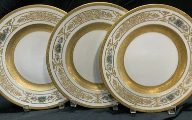 Set 12 Royal HUTSCHENREUTHER Porcelain Plates