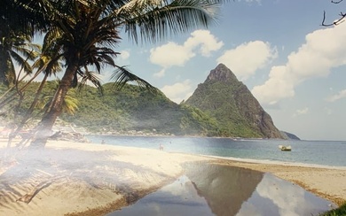 Signed Tropical Landscape Photograph