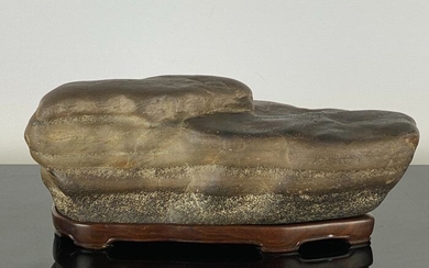 Suiseki Setagawa Tora-Ishi (1) - Stone - Peter Tiger - Japan - Heisei period (1989-present)