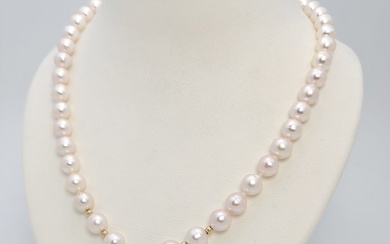 no reserve price - 14 kt. Akoya pearls, Gold - Necklace with pendant South Sea Pearl